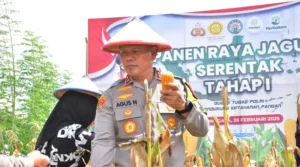 Kapolda Sulteng Panen Raya Jagung di Labuan Toposo