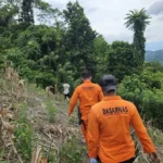Upaya pencarian kakek yang dilaporkan hilang di Desa Lambo, Banawa, Donggala, Kamis (24/4/2025). (Foto: Basarnas Palu)