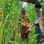 Wakil Ketua DPRD Sulteng, Aristan (kanan) bersama Kades Talaga di Kawasan Pangan Nasional, Desa Talaga, Donggala, Senin (26/5/2025). (Foto: Tangkapan layar)