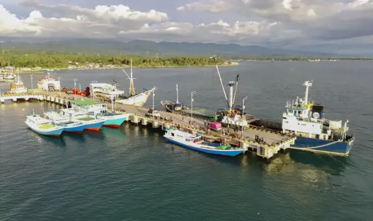Foto udara sejumlah pekerja melakukan pembongkaran semen curah di Pelabuhan Rakyat Wani, Dongala, Sulawesi Tengah, Senin (7/4/2025). (©bmzIMAGES/basri marzuki)